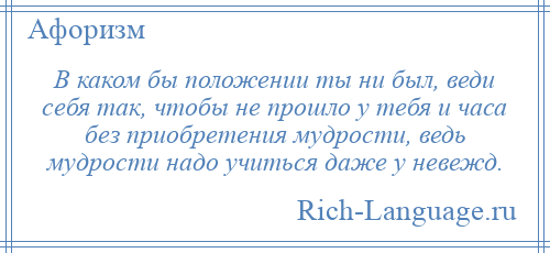 
    В каком бы положении ты ни был, веди себя так, чтобы не прошло у тебя и часа без приобретения мудрости, ведь мудрости надо учиться даже у невежд.