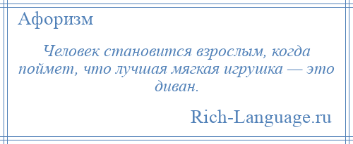 
    Человек становится взрослым, когда поймет, что лучшая мягкая игрушка — это диван.