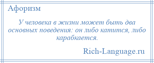 
    У человека в жизни может быть два основных поведения: он либо катится, либо карабкается.