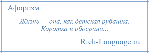 
    Жизнь — она, как детская рубашка. Коротка и обосрана...