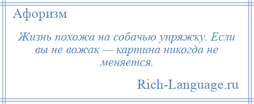 
    Жизнь похожа на собачью упряжку. Если вы не вожак — картина никогда не меняется.