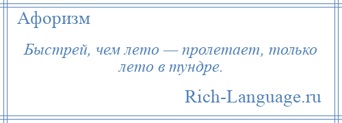 
    Быстрей, чем лето — пролетает, только лето в тундре.