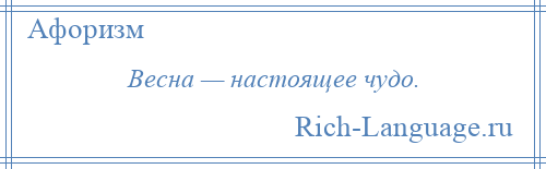 
    Весна — настоящее чудо.