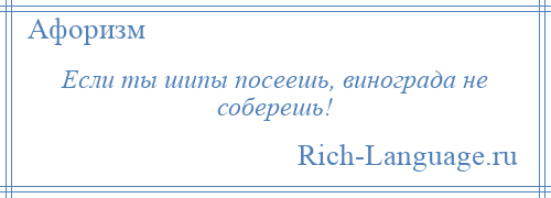 
    Если ты шипы посеешь, винограда не соберешь!