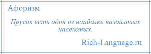 
    Прусак есть один из наиболее назойливых насекомых.