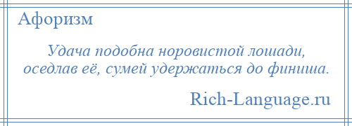 
    Удача подобна норовистой лошади, оседлав её, сумей удержаться до финиша.