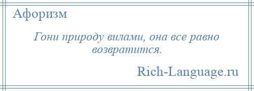 
    Гони природу вилами, она все равно возвратится.
