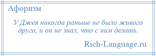 
    У Джея никогда раньше не было живого друга, и он не знал, что с ним делать.