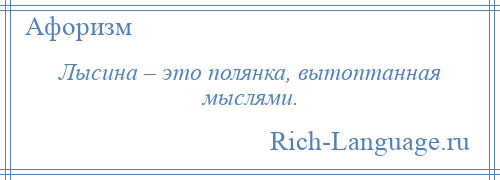 
    Лысина – это полянка, вытоптанная мыслями.