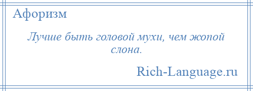 
    Лучше быть головой мухи, чем жопой слона.