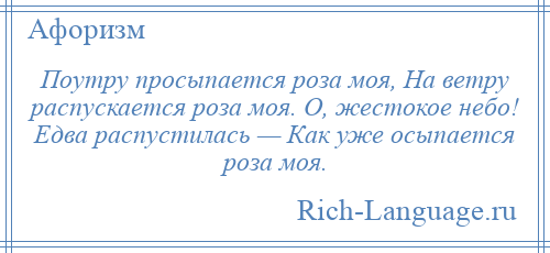 
    Поутру просыпается роза моя, На ветру распускается роза моя. О, жестокое небо! Едва распустилась — Как уже осыпается роза моя.