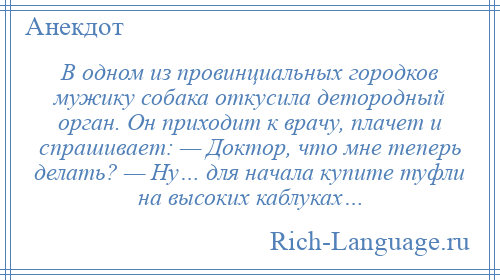 
    В одном из провинциальных городков мужику собака откусила детородный орган. Он приходит к врачу, плачет и спрашивает: — Доктор, что мне теперь делать? — Ну… для начала купите туфли на высоких каблуках…