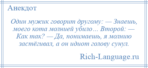 
    Один мужик говорит другому: — Знаешь, моего кота молнией убило… Второй: — Как так? — Да, понимаешь, я молнию застёгивал, а он идиот голову сунул.
