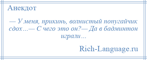 
    — У меня, прикинь, волнистый попугайчик сдох…— С чего это он?— Да в бадминтон играли…