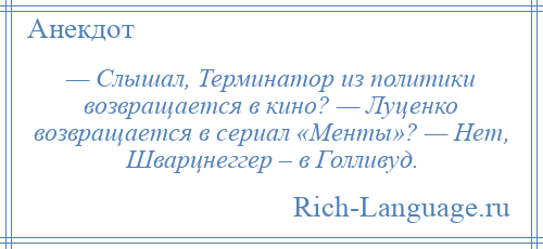 
    — Слышал, Терминатор из политики возвращается в кино? — Луценко возвращается в сериал «Менты»? — Нет, Шварцнеггер – в Голливуд.