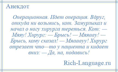 
    Операционная. Идет операция. Вдруг, откуда ни возьмись, кот. Замурлыкал и начал о ногу хирурга тереться. Кот: — Мяяу! Хирург: — Брысь! — Мяяаау! — Брысь, кому сказал! — Мяааауу! Хирург отрезает что—то у пациента и кидает вниз: — Да, на, подавись!