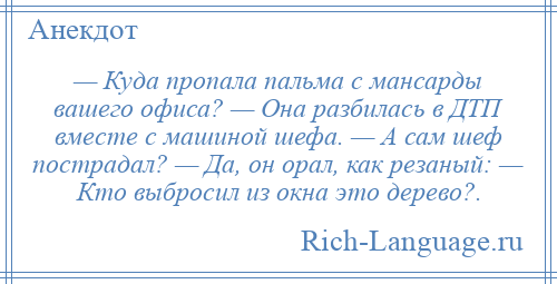 
    — Куда пропала пальма с мансарды вашего офиса? — Она разбилась в ДТП вместе с машиной шефа. — А сам шеф пострадал? — Да, он орал, как резаный: — Кто выбросил из окна это дерево?.
