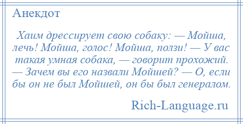 
    Хаим дрессирует свою собаку: — Мойша, лечь! Мойша, голос! Мойша, ползи! — У вас такая умная собака, — говорит прохожий. — Зачем вы его назвали Мойшей? — О, если бы он не был Мойшей, он бы был генералом.