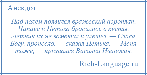 
    Над полем появился вражеский аэроплан. Чапаев и Петька бросились в кусты. Летчик их не заметил и улетел. — Слава Богу, пронесло, — сказал Петька. — Меня тоже, — признался Василий Иванович.