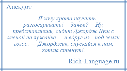 
    — Я хочу крота научить разговаривать!— Зачем?— Ну, представляешь, сидит Джордж Буш с женой на лужайке — и вдруг из—под земли голос: — Джорджик, спускайся к нам, котлы стынут!.