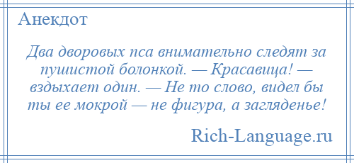 
    Два дворовых пса внимательно следят за пушистой болонкой. — Красавица! — вздыхает один. — Не то слово, видел бы ты ее мокрой — не фигура, а загляденье!