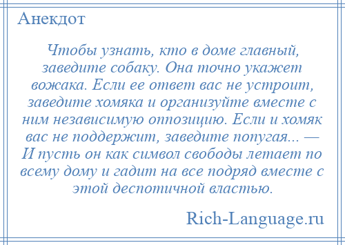 
    Чтобы узнать, кто в доме главный, заведите собаку. Она точно укажет вожака. Если ее ответ вас не устроит, заведите хомяка и организуйте вместе с ним независимую оппозицию. Если и хомяк вас не поддержит, заведите попугая... — И пусть он как символ свободы летает по всему дому и гадит на все подряд вместе с этой деспотичной властью.