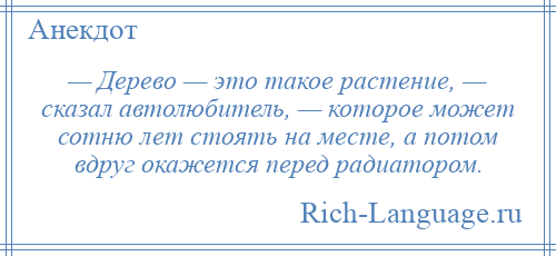 
    — Дерево — это такое растение, — сказал автолюбитель, — которое может сотню лет стоять на месте, а потом вдруг окажется перед радиатором.