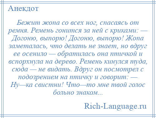 
    Бежит жопа со всех ног, спасаясь от ремня. Ремень гонится за ней с криками: — Догоню, выпорю! Догоню, выпорю! Жопа заметалась, что делать не знает, но вдруг ее осенило — обратилась она птичкой и вспорхнула на дерево. Ремень кинулся туда, сюда — не видать. Вдруг он посмотрел с подозрением на птичку и говорит: — Ну—ка свистни! Что—то мне твой голос больно знаком...