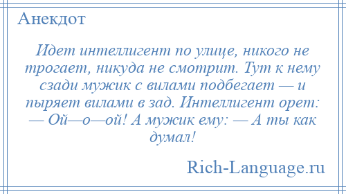 
    Идет интеллигент по улице, никого не трогает, никуда не смотрит. Тут к нему сзади мужик с вилами подбегает — и пыряет вилами в зад. Интеллигент орет: — Ой—о—ой! А мужик ему: — А ты как думал!