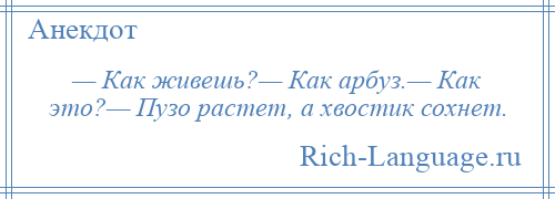 
    — Как живешь?— Как арбуз.— Как это?— Пузо растет, а хвостик сохнет.