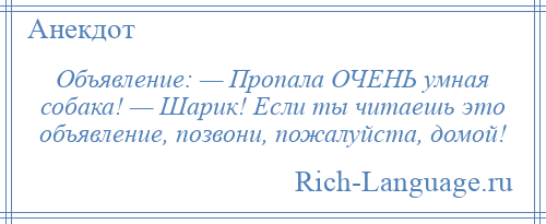 
    Объявление: — Пропала ОЧЕНЬ умная собака! — Шарик! Если ты читаешь это объявление, позвони, пожалуйста, домой!