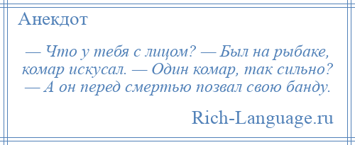 
    — Что у тебя с лицом? — Был на рыбаке, комар искусал. — Один комар, так сильно? — А он перед смертью позвал свою банду.