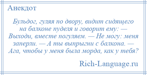 
    Бульдог, гуляя по двору, видит сидящего на балконе пуделя и говорит ему: — Выходи, вместе погуляем. — Не могу: меня заперли. — А ты выпрыгни с балкона. — Ага, чтобы у меня была морда, как у тебя?