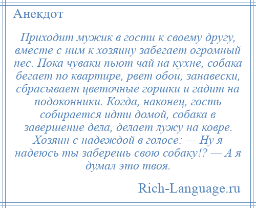 
    Приходит мужик в гости к своему другу, вместе с ним к хозяину забегает огромный пес. Пока чуваки пьют чай на кухне, собака бегает по квартире, рвет обои, занавески, сбрасывает цветочные горшки и гадит на подоконники. Когда, наконец, гость собирается идти домой, собака в завершение дела, делает лужу на ковре. Хозяин с надеждой в голосе: — Ну я надеюсь ты заберешь свою собаку!? — А я думал это твоя.