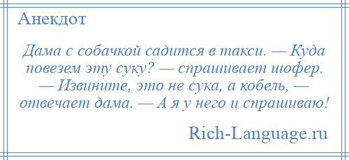 
    Дама с собачкой садится в такси. — Куда повезем эту суку? — спрашивает шофер. — Извините, это не сука, а кобель, — отвечает дама. — А я у него и спрашиваю!