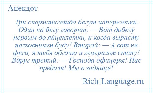 
    Три сперматозоида бегут наперегонки. Один на бегу говорит: — Вот добегу первым до яйцеклетки, и когда вырасту полковником буду! Второй: — А вот не фига, я тебя обгоню и генералом стану! Вдруг третий: — Господа офицеры! Нас предали! Мы в заднице!