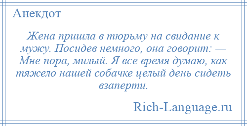 
    Жена пришла в тюрьму на свидание к мужу. Посидев немного, она говорит: — Мне пора, милый. Я все время думаю, как тяжело нашей собачке целый день сидеть взаперти.