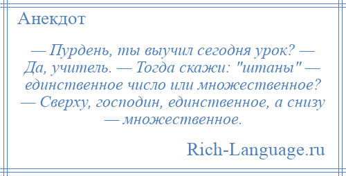 
    — Пурдень, ты выучил сегодня урок? — Да, учитель. — Тогда скажи: штаны — единственное число или множественное? — Сверху, господин, единственное, а снизу — множественное.