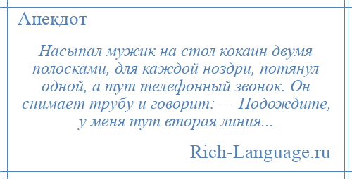 
    Насыпал мужик на стол кокаин двумя полосками, для каждой ноздри, потянул одной, а тут телефонный звонок. Он снимает трубу и говорит: — Подождите, у меня тут вторая линия...