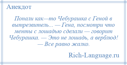 
    Попали как—то Чебурашка с Геной в вытрезвитель... — Гена, посмотри что менты с лошадью сделали — говорит Чебурашка. — Это не лошадь, а верблюд! — Все равно жалко.