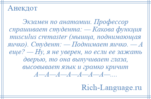 
    Экзамен по анатомии. Профессор спрашивает студента: — Какова функция musculus cremaster (мышца, поднимающая яичко). Студент: — Поднимает яичко. — А еще? — Ну, я не уверен, но если ее зажать дверью, то она выпучивает глаза, высовывает язык и громко кричит А—А—А—А—А—А—А—....