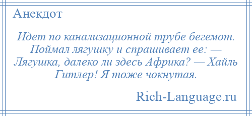 
    Идет по канализационной трубе бегемот. Поймал лягушку и спрашивает ее: — Лягушка, далеко ли здесь Африка? — Хайль Гитлер! Я тоже чокнутая.