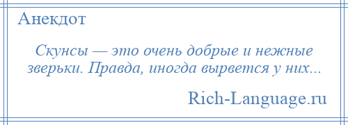 
    Скунсы — это очень добрые и нежные зверьки. Правда, иногда вырвется у них...