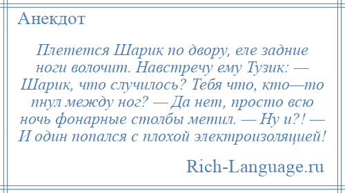 
    Плетется Шарик по двору, еле задние ноги волочит. Навстречу ему Тузик: — Шарик, что случилось? Тебя что, кто—то пнул между ног? — Да нет, просто всю ночь фонарные столбы метил. — Ну и?! — И один попался с плохой электроизоляцией!