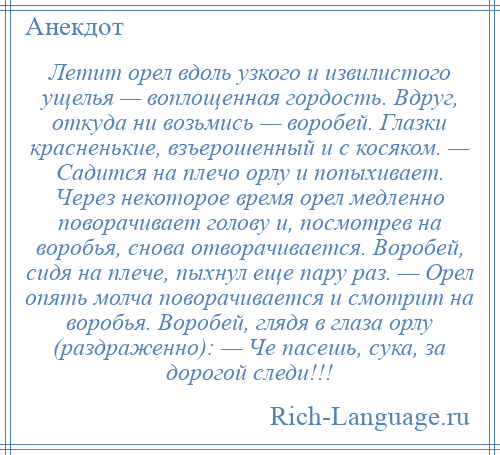 
    Летит орел вдоль узкого и извилистого ущелья — воплощенная гордость. Вдруг, откуда ни возьмись — воробей. Глазки красненькие, взъерошенный и с косяком. — Садится на плечо орлу и попыхивает. Через некоторое время орел медленно поворачивает голову и, посмотрев на воробья, снова отворачивается. Воробей, сидя на плече, пыхнул еще пару раз. — Орел опять молча поворачивается и смотрит на воробья. Воробей, глядя в глаза орлу (раздраженно): — Че пасешь, сука, за дорогой следи!!!