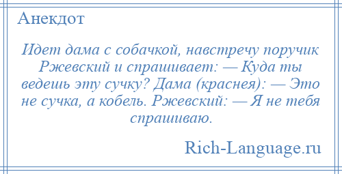 
    Идет дама с собачкой, навстречу поручик Ржевский и спрашивает: — Куда ты ведешь эту сучку? Дама (краснея): — Это не сучка, а кобель. Ржевский: — Я не тебя спрашиваю.