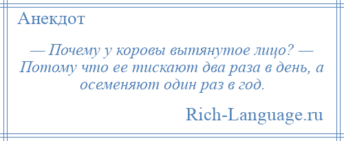 
    — Почему у коровы вытянутое лицо? — Потому что ее тискают два раза в день, а осеменяют один раз в год.