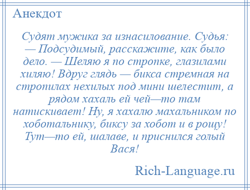 
    Судят мужика за изнасилование. Судья: — Подсудимый, расскажите, как было дело. — Шеляю я по стропке, глазилами хиляю! Вдруг глядь — бикса стремная на стропилах нехилых под мини шелестит, а рядом хахаль ей чей—то там натискивает! Ну, я хахалю махальником по хоботальнику, биксу за хобот и в рощу! Тут—то ей, шалаве, и приснился голый Вася!