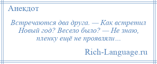 
    Встречаются два друга. — Как встретил Новый год? Весело было? — Не знаю, пленку ещё не проявляли…