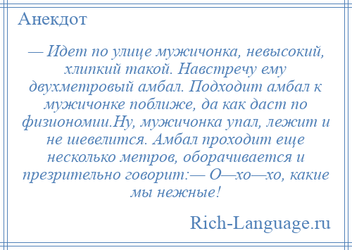 
    — Идет по улице мужичонка, невысокий, хлипкий такой. Навстречу ему двухметровый амбал. Подходит амбал к мужичонке поближе, да как даст по физиономии.Ну, мужичонка упал, лежит и не шевелится. Амбал проходит еще несколько метров, оборачивается и презрительно говорит:— О—хо—хо, какие мы нежные!